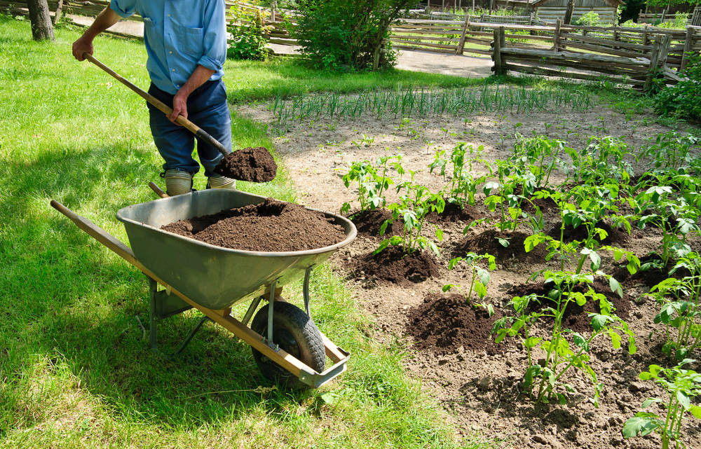 Gardening for Seniors: Tips and Benefits | Orange County Home Care