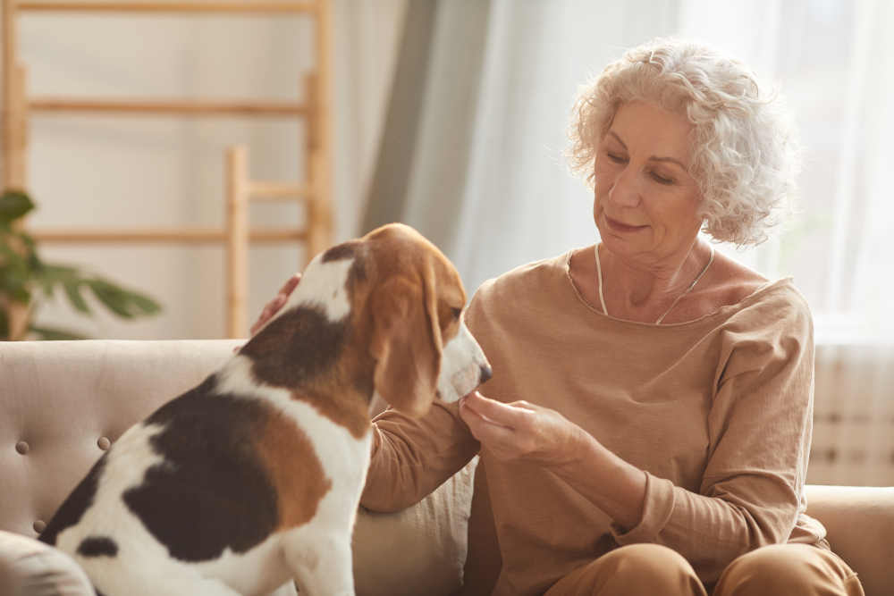 Is A Support Animal The Right Choice For Your Loved One?