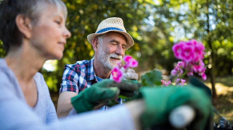 The Therapeutic Benefits of Gardening for Seniors