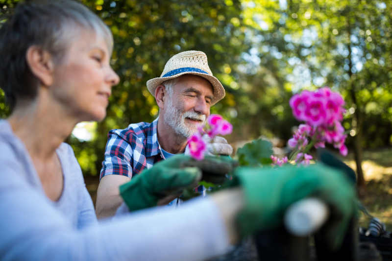 The Therapeutic Benefits of Gardening for Seniors
